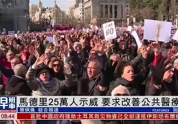 开云手机在线登陆-马德里竞技主力前锋